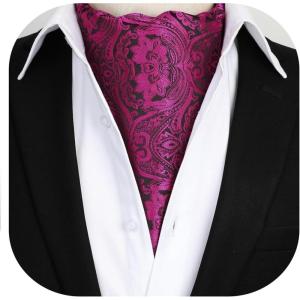 imageHISDERN Ascot Tie Mens Cravat Ties Floral Paisley Polka Dot Jacquard Self Ascots Cravat Scarf Wedding PartyFhot Pink