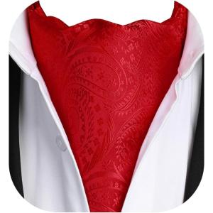 imageHISDERN Ascot Tie Mens Cravat Ties Floral Paisley Polka Dot Jacquard Self Ascots Cravat Scarf Wedding PartyFred 2