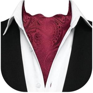 imageHISDERN Ascot Tie Mens Cravat Ties Floral Paisley Polka Dot Jacquard Self Ascots Cravat Scarf Wedding PartyFred