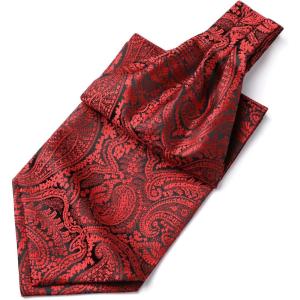 imageHISDERN Ascot Tie Mens Cravat Ties Floral Paisley Polka Dot Jacquard Self Ascots Cravat Scarf Wedding PartyFred Black Paisley