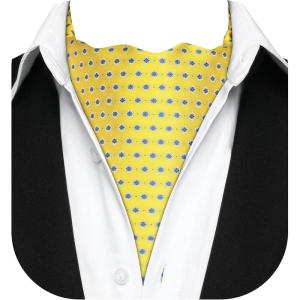 imageHISDERN Ascot Tie Mens Cravat Ties Floral Paisley Polka Dot Jacquard Self Ascots Cravat Scarf Wedding PartyIyellow  Blue
