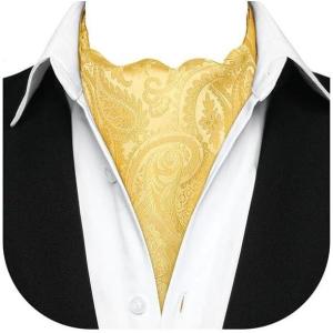imageHISDERN Ascot Tie Mens Cravat Ties Floral Paisley Polka Dot Jacquard Self Ascots Cravat Scarf Wedding PartyIyellow