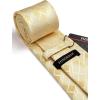 imageHISDERN Mens Ties Plaid Tie and Pocket Square Set Classic Woven Formal Checkered Neckties ampamp Handkerchief Wedding Party03champagne