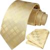 imageHISDERN Mens Ties Plaid Tie and Pocket Square Set Classic Woven Formal Checkered Neckties ampamp Handkerchief Wedding Party03champagne