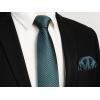 imageHISDERN Mens Ties Plaid Tie and Pocket Square Set Classic Woven Formal Checkered Neckties ampamp Handkerchief Wedding Party0593teal