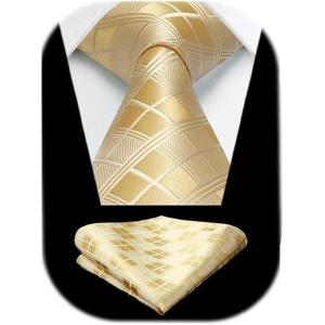 imageHISDERN Mens Ties Plaid Tie and Pocket Square Set Classic Woven Formal Checkered Neckties ampamp Handkerchief Wedding Party03champagne