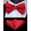 imageHISDERN Bow Tie and Suspenders for Men Elastic XBack Suspender and Bowtie Set Adjustable Braces for Wedding TuxedoE2red 2