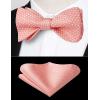 imageHISDERN Bow Ties for Men Polka Dot Selftie Bowtie and Pocket Square Classic Business Tuxedo Wedding Bowties Handkerchief02pink  White Dots