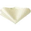 imageHISDERN Bow Ties for Men Polka Dot Selftie Bowtie and Pocket Square Classic Business Tuxedo Wedding Bowties Handkerchief03champagne Gray