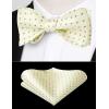 imageHISDERN Bow Ties for Men Polka Dot Selftie Bowtie and Pocket Square Classic Business Tuxedo Wedding Bowties Handkerchief03champagne Gray