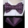 imageHISDERN Bow Ties for Men Polka Dot Selftie Bowtie and Pocket Square Classic Business Tuxedo Wedding Bowties Handkerchief03purpleWhite