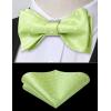 imageHISDERN Bow Ties for Men Polka Dot Selftie Bowtie and Pocket Square Classic Business Tuxedo Wedding Bowties HandkerchiefE4green White