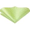 imageHISDERN Bow Ties for Men Polka Dot Selftie Bowtie and Pocket Square Classic Business Tuxedo Wedding Bowties HandkerchiefE4green White