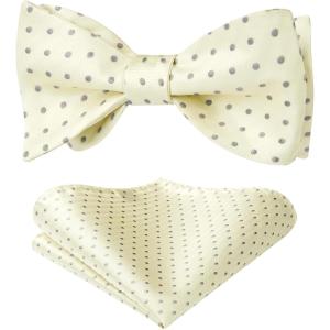 imageHISDERN Bow Ties for Men Polka Dot Selftie Bowtie and Pocket Square Classic Business Tuxedo Wedding Bowties Handkerchief03champagne Gray