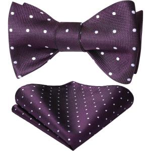 imageHISDERN Bow Ties for Men Polka Dot Selftie Bowtie and Pocket Square Classic Business Tuxedo Wedding Bowties Handkerchief03purpleWhite