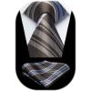 imageHISDERN Pre Tied Ties for Men Adjustable Mens Tie Classic Paisley Stripe Necktie and Pocket Square Set for Wedding PartyBbrown Striped