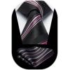 imageHISDERN Pre Tied Ties for Men Adjustable Mens Tie Classic Paisley Stripe Necktie and Pocket Square Set for Wedding PartyBpink Striped