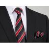 imageHISDERN Pre Tied Ties for Men Adjustable Mens Tie Classic Paisley Stripe Necktie and Pocket Square Set for Wedding PartyBred Striped
