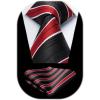 imageHISDERN Pre Tied Ties for Men Adjustable Mens Tie Classic Paisley Stripe Necktie and Pocket Square Set for Wedding PartyBred Striped