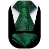 imageHISDERN Pre Tied Ties for Men Adjustable Mens Tie Classic Paisley Stripe Necktie and Pocket Square Set for Wedding PartyGgreen Paisley