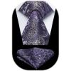 imageHISDERN Pre Tied Ties for Men Adjustable Mens Tie Classic Paisley Stripe Necktie and Pocket Square Set for Wedding PartyPpurple Paisley