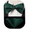 imageHISDERN Bow Ties for Men Self Tie Animal Bowties Pocket Square Woven Silk Fun Bowtie Handkerchief Set for Wedding PartyGreenHorse Racing