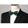 imageHISDERN Bow Ties for Men Self Tie Animal Bowties Pocket Square Woven Silk Fun Bowtie Handkerchief Set for Wedding PartyGreenHorse Racing