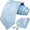 imageHISDERN Ties for Men Paisley Floral Mens Ties and Pocket Square Cufflinks Set Classic Business Necktie HandkerchiefA1light Blue