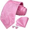 imageHISDERN Ties for Men Paisley Floral Mens Ties and Pocket Square Cufflinks Set Classic Business Necktie HandkerchiefA1pink1