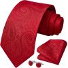 imageHISDERN Ties for Men Paisley Floral Mens Ties and Pocket Square Cufflinks Set Classic Business Necktie HandkerchiefA1red1
