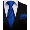 imageHISDERN Ties for Men Paisley Floral Mens Ties and Pocket Square Cufflinks Set Classic Business Necktie HandkerchiefA1royal Blue