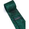 imageHISDERN Ties for Men Paisley Floral Mens Ties and Pocket Square Cufflinks Set Classic Business Necktie HandkerchiefB1green