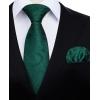 imageHISDERN Ties for Men Paisley Floral Mens Ties and Pocket Square Cufflinks Set Classic Business Necktie HandkerchiefB1green