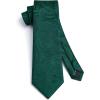 imageHISDERN Ties for Men Paisley Floral Mens Ties and Pocket Square Cufflinks Set Classic Business Necktie HandkerchiefB1green