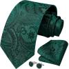 imageHISDERN Ties for Men Paisley Floral Mens Ties and Pocket Square Cufflinks Set Classic Business Necktie HandkerchiefB1green