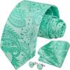 imageHISDERN Ties for Men Paisley Floral Mens Ties and Pocket Square Cufflinks Set Classic Business Necktie HandkerchiefB2 Mint Green