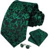 imageHISDERN Ties for Men Paisley Floral Mens Ties and Pocket Square Cufflinks Set Classic Business Necktie HandkerchiefB2green