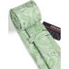 imageHISDERN Ties for Men Paisley Floral Mens Ties and Pocket Square Cufflinks Set Classic Business Necktie HandkerchiefB2sage Green