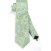 imageHISDERN Ties for Men Paisley Floral Mens Ties and Pocket Square Cufflinks Set Classic Business Necktie HandkerchiefB2sage Green