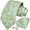 imageHISDERN Ties for Men Paisley Floral Mens Ties and Pocket Square Cufflinks Set Classic Business Necktie HandkerchiefB2sage Green
