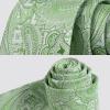 imageHISDERN Ties for Men Paisley Floral Mens Ties and Pocket Square Cufflinks Set Classic Business Necktie HandkerchiefB2sage Green