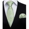 imageHISDERN Ties for Men Paisley Floral Mens Ties and Pocket Square Cufflinks Set Classic Business Necktie HandkerchiefBsage Green