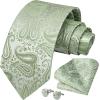 imageHISDERN Ties for Men Paisley Floral Mens Ties and Pocket Square Cufflinks Set Classic Business Necktie HandkerchiefBsage Green