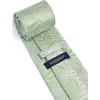 imageHISDERN Ties for Men Paisley Floral Mens Ties and Pocket Square Cufflinks Set Classic Business Necktie HandkerchiefBsage Green