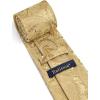 imageHISDERN Ties for Men Paisley Floral Mens Ties and Pocket Square Cufflinks Set Classic Business Necktie HandkerchiefCgold