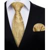 imageHISDERN Ties for Men Paisley Floral Mens Ties and Pocket Square Cufflinks Set Classic Business Necktie HandkerchiefCgold