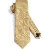 imageHISDERN Ties for Men Paisley Floral Mens Ties and Pocket Square Cufflinks Set Classic Business Necktie HandkerchiefCgold