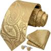 imageHISDERN Ties for Men Paisley Floral Mens Ties and Pocket Square Cufflinks Set Classic Business Necktie HandkerchiefCgold