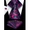 imageHISDERN Ties for Men Paisley Floral Mens Ties and Pocket Square Cufflinks Set Classic Business Necktie HandkerchiefD2navy Blue  Purple Pink