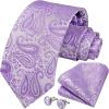 imageHISDERN Ties for Men Paisley Floral Mens Ties and Pocket Square Cufflinks Set Classic Business Necktie HandkerchiefD4purple
